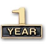 " Cutout One Year" Stock Pin