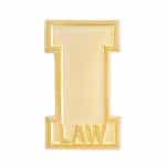 1 1/8" (1.125") Die Struck Sandblast Lapel Pin - 8