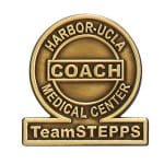 1 7/8" (1.875") Die Struck Antique Lapel Pin - 5