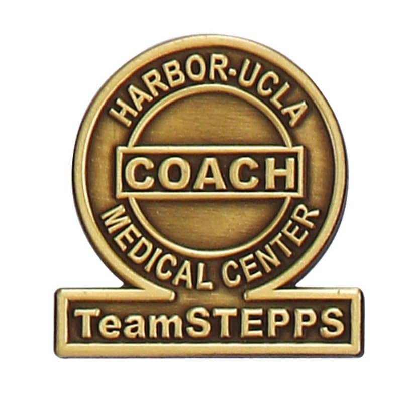 1 7/8" (1.875") Die Struck Antique Lapel Pin - 5