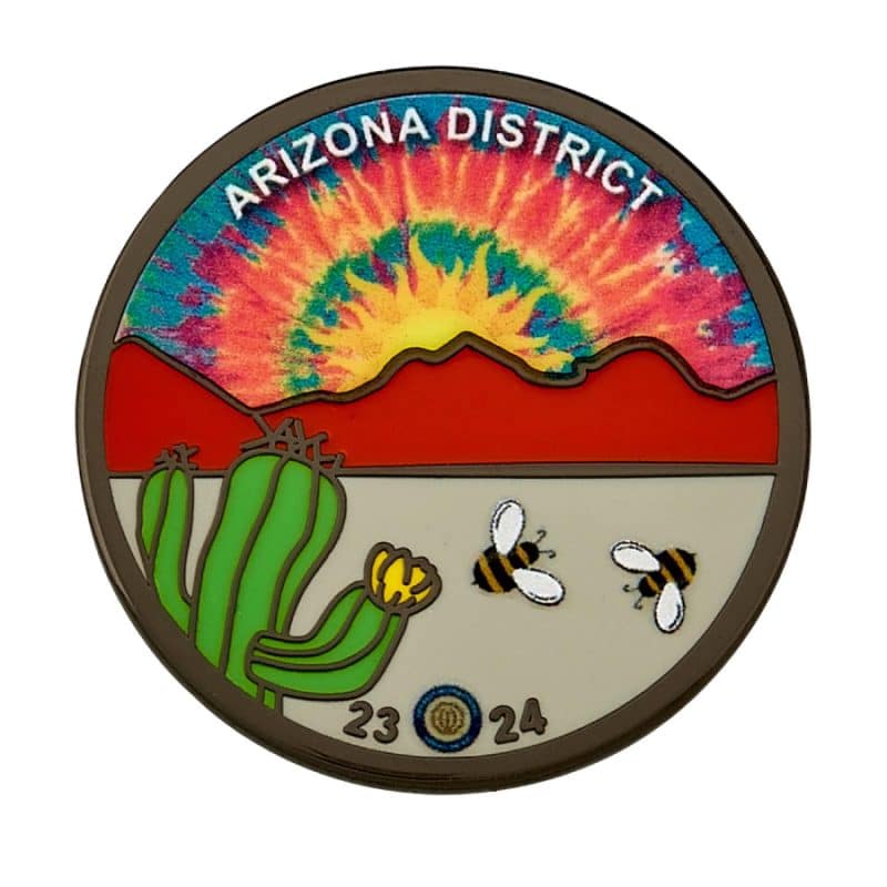 Custom Lapel Pin - Full Color UV Printed Cloisonne Hard Enamel 1 1/2" (1.5") - 4