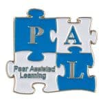 Custom Lapel Pins - 2" Die Struck Soft Enamel - 9