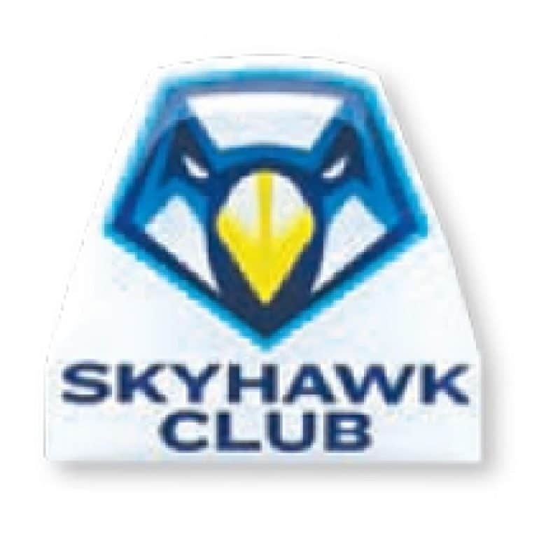 1" Print Lapel Pins/ Stainless Steel